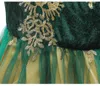 3styles Anna Green Dress for Girl Summer Lace Tulle Snow Queen Principessa Fancy Costumes 210T Kids Birthday Party Abito di Cucciolo di E6044703