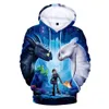 Hur man tränar din drake 3 tryck 3D Hooded Baby Boys Sweatshirt Barnkläder Tecknad T-Shrit Girl Pullover Kids Coat Outwear