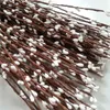 300pcs 8 Moleors DIY Çelenk için Pip Berry Stem