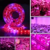 DC 12V LED Grow light Full Spectrum 5M LED Strip light 5050 LED Phyto Plant Growth lamps For Greenhouse Hydroponic Plant Growing