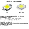Light Pärlor 50st Bridgelux Chip Cob LED-chips 10W 20W 30W 50W 70W 80W 100W Cold White 6000-6500k på lager Usalight