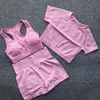 Kvinnor Kortärmad Yoga Set 3 Piece Vital Seamless Sport Bra kostym Gym Kläder Fitness Grödtank Toppskjorta Hög midja Shorts