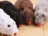 Wind-up Plush Mouse Children Chain Toy Wind-Up Walk Mouse Classic Nostalgic Mini Toy Symulacji Myszy (kolor Ramdom)