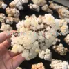 Raw Minerals Mixed Random Size Random Color Free Shape Natural Stone Calcite Cluster 2000 Grams Rough Crystal Flowers Specimen Collection