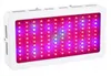 Full Spectrum LED Grow Light 300W 600W 800W 1000W 1200W 1500W för inomhusväxter från plantor till blommor fitolampy växthushydroponljus belysningslampa