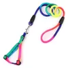 Guinzaglio per cani regolabile di alta qualità Imbracatura per guinzaglio per cani in nylon arcobaleno Guinzagli per guinzagli per guinzagli per guinzagli per cani e gatti