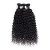 Peruana Kinky humano cabelo encaracolado extensão do cabelo virgem não transformados três bundles 3pics / rainha de cabelo lote duplo de trama de msjoli