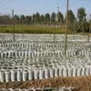 100 PC multi-taille pots biodégradables Non-tissé pépinière sacs plante grandir tissu semis écologique aération plantation sacs