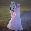 Roze Chiffon Assepoester Middeleeuwse Mantel Bruids Cape Mantel Winter Bruiloft Sprookje Renaissance Wrap met hood273Y
