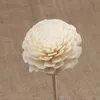 Bra fabrikspris Handgjord heminredning Fragrance Parfym Rattan 2,5cm Diameter Sola Wood Flower med Reed Diffuser Stick