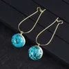 Fashion Plant Dry Flower Earring Woman Colorful Dried Flowers Glass Ball Pressed Flower Dangle Earing Creative Charm Jewelry Gift-Y