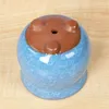 Nieuwe keramische openingijs gebarsten vlezige bloempot kleurrijke tuinieren trompet pot creatieve kantoor Desktop combinatie groene plant pot