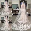 Bridal Wedding Veil with Appliques Edge Tulle Long Cathedral Wedding Veil Bridal Veil with Comb veu de noiva Hot Sale