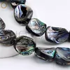 自然のアワビのシェル半の貴石の宝石のストロンドDIYの緩いPauaビーズのための緩いPaua Beads frefformの不規則な形を作る