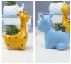 Resin Flower Pot Mini Succulent Planters Pot Modern Animal Flowerpot Garden Cactus Pots Home Decoration Accessories RRA2139