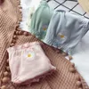 Frauenhöschen japanische Daisy Rüschen Rand Kämmte Baumwollmädchen Student Brot Hosen Große Größe Unterwäsche Frauen