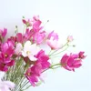 10 stks Kunstmatige Silk Cosmos Flowers Festival Feestartikelen Decoratieve Fake Bloem Bruiloft Party Office Decoations Real Touch Flowers H69