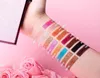 DHL Free Shipping New Makeup BEVERLY HILLS Eyes Hot Brand Amrezy Eyeshadow Palette 16 Colors Shimmer Matte Eye Shadow!