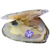 2019 Natural freshwater zircon oysters 8mm*8mm violet loose cubic zircon in oysters vacuum packed