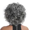 ZM Newstyle 12 "Perruques courtes Afro Synthetic Mixte Mixte Grey Grey Perruque Curly Kinky Burly pour femmes noires / blanches Fibre haute température américaine américaine