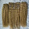 4B 4C Afro Kinky Cabelo Cabelo Em Extensões de Cabelo Humano 8 Peças 100g / Set Clipe em Extensões de Cabelo Humano