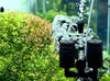 Aquariumfilter Fish Tank Garnalen Vijver Luchtpompen Skimmer Biochemische Spons Filters Bio Sponzen Filtro Aquario Praktisch 2 Heads Garnern Leveranciers
