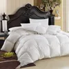 Make Any Size 95% European Hungarian Down Comforter Doona Quilt Blanket We are Factory
