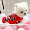 Teddy-Welpenweste, Frühling und Sommer, Haustierkleidung, Bichon Bomei, Mesh, atmungsaktives Unterhemd, Welpen, Milchhund, Sporttrikot, kleine Hunde, Katzentuch