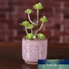 多肉の庭の植物の鍋のミニサムデスクのオフィスの植木鉢セラミック高品質