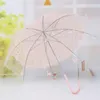 Lolita Women Podróży Parasole Romantyczny Imitacja Koronki Przezroczysty Cute Kot Długie Rękojeść Rain Snow Parasole Kreatywne Princess Parasol Gifts