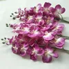 one Artificial Butterfly Orchid Flower Silk white blue green Phalaenopsis Orchid Cymbidium 31.5" for Home Party Wall Decorations