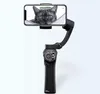 gopro handheld stabilizer.