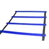 High Quality Outdoor Sports 5M 9 Rung Agility Ladder for Football Soccer Speed Carry Bag Training Equipment 4 colors4747377