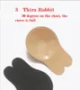 Hot Push Up Bra Strapless Invisible Bra Self Adhesive Silicone Nipple Cover Stickers Rabbit Ear Chest-lifting Stickers Lifting Chest Stick