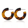 Fashion Leopard Grain Tortoise Shell Big Hook Acrylic Earrings Drop Earring