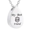 Vattendroppar Askhalsband Minnesmärke Keepsake Urn Pendant Necklace For Women Man- My Friend-Lion-Cremation Jewelry for Ashes