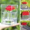 Valentine039S Day Rose Flower Storage Box Transparent Acrylic Flower Box Paper Packaging Carton Plus Foam Label Gift for Girls6602757