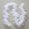 10pcs 2m Chicken Feather Strip Color Turkey Feather Boa for Wedding Birthday Party Wedding Decorations Clothing Accessories