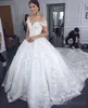 Kristallen kleedt zich van de schouderkant kanten applique chapel trein tule prinses bruiloft bruids ball jurk vestido de novia