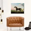 George Stubbs paintings Lord Grosvenors sweet william in a landscape hand painted canvas art horses image for living room decor