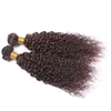 4 Brun Foncé Crépus Bouclés Brésiliens Cheveux Humains Tisse 3 Faisceaux Chocolat Brun Vierge Extensions De Trames De Cheveux Crépus Bouclés Faisceaux D6451889