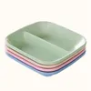 Wheat Straw Square Double Grid Creative Home Colored Plate Dessert Plate Flavored Dish Japanese Tableware Plastic Tray