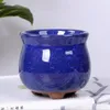 Nieuwe keramische openingijs gebarsten vlezige bloempot kleurrijke tuinieren trompet pot creatieve kantoor Desktop combinatie groene plant pot