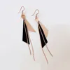 Titanium Steel Triangle Tassel Dangle Earrings Vintage Geometric Long Earrings for Women Party Show Gifts Wholesale Retail