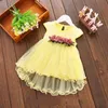 4 farben Neueste Kleinkind Infant Kids Baby Mädchen Sommer Blumenkleid Prinzessin Hochzeit Party Kleider 0-3Y