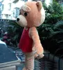 2018 Costume Ted chaud d'usine Costume de mascotte d'ours en peluche Livraison gratuite 2019