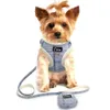 Harnais pour chien doux, gilet sans traction, réglable, Chihuahua, chiot, chat, ensemble de laisse pour petits et moyens chiens, manteau Arnes Perro6015882