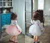 Retail Spring Autumn Girl Fluffy Dress Floral Tiered Gauze Long Sleeve Princess Dress Children Clothing 26 Years E883464061402