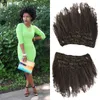 Malezya Saç 4A 4B Afro Kinky Kıvırcık Klipsi İnsan Saçında İşlenmemiş Doğal Siyah Siyah Kadınlar İşlenmemiş İnsan Saç G-Easy