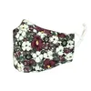 Fashion printed cotton design face mask dust respirator can be washed with water and inserted with filters face masks